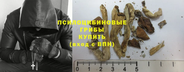 винт Майский