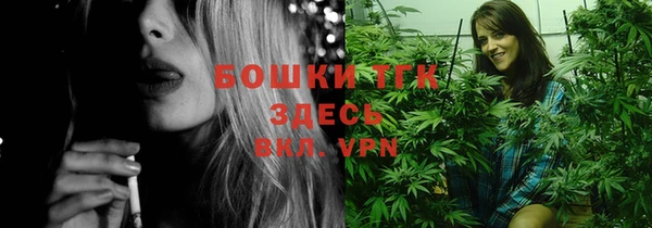 винт Майский