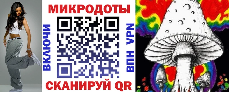 где продают   Дорогобуж  Галлюциногенные грибы Magic Shrooms 
